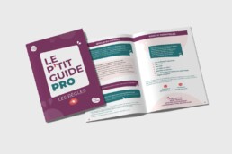 Image du P'tit Guide Pro