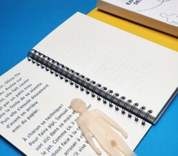 Photo de l'adaptation en braille et gros caract&egrave;re de Zizis et Z&eacute;zettes